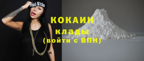 стафф Алзамай