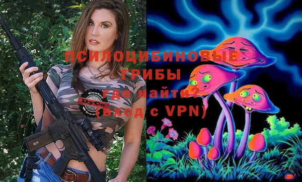 прущие крисы Алексеевка