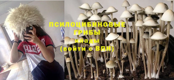 прущие грибы Алексин