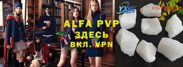 стафф Алзамай
